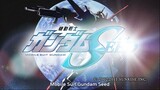 Mobile Suit Gundam:SEED Episode 25