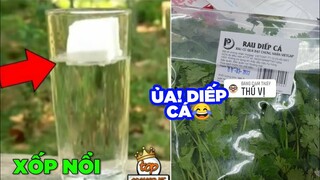 Rau diếp cá hôm nay lạ quá😂 - Top comments