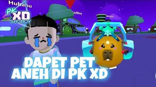 NIATNYA BUKA 3 PET POD MALAH JADI BEGINI..😭🤣 - PK XD