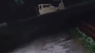 ✨𝐒𝐇𝐈𝐍𝐎𝐁𝐔 𝐊𝐎𝐂𝐇𝐎 𝐒𝐔𝐏𝐏𝐑𝐄𝐌𝐀𝐂𝐘 ✨