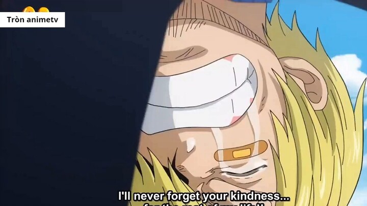 Top 5 cuộc chia tay xúc động nhất trong One Piece! 3