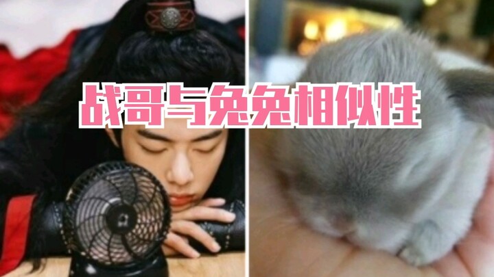 【Xiao Zhan/Loli Kelinci】Mengapa Kamu Merasa Xiao Zhan Mirip Loli Kelinci? Netizen Luar Negeri Telah 