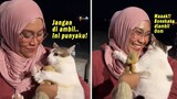Gemes Banget! Bonekanya Diambil Orang, Kucing Lucu Ini Ngambek & Ngadu ke Majikan! Kucing Yoyo Lucu