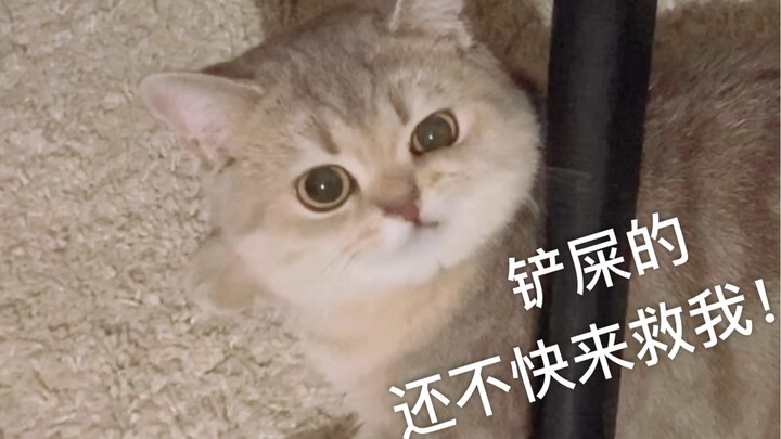 Udah kejepit nih hahahaahaha Udah ketawa cukup, sekarang bantuin kamu deh!