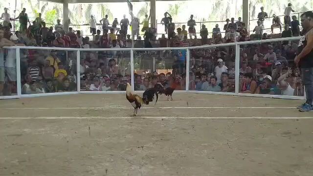 1hit delete ni boss E