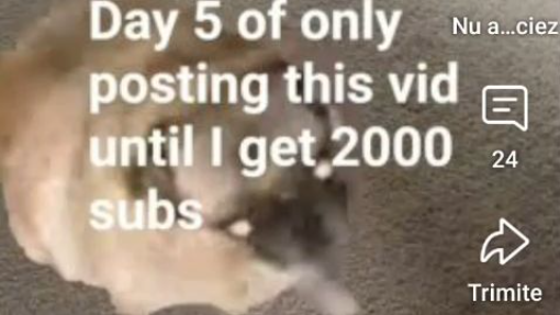 Ooh no you have been pugged!