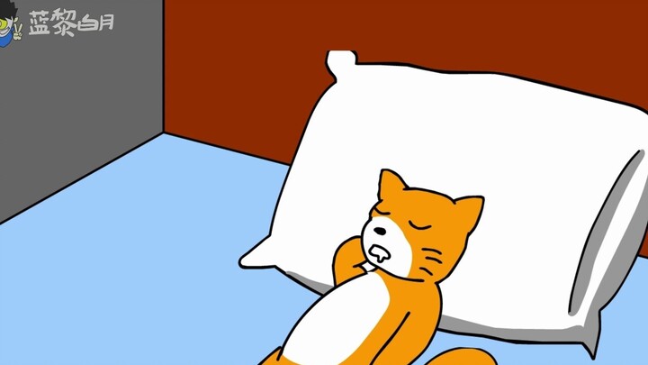 恐怖动画：小猫