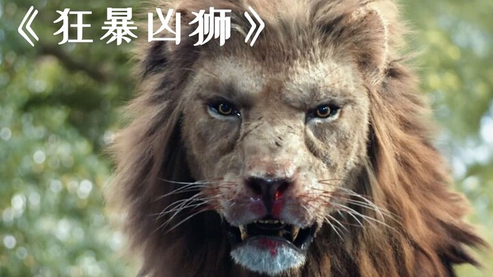 A highly intelligent man-eating lion breaks into the city, treats humans as prey, and hides away aft