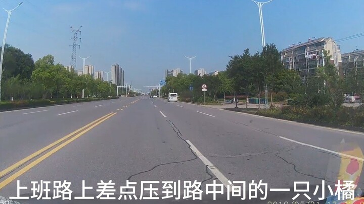 上班路上捡到4只小猫最后一只很可惜回归猫星了