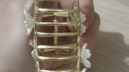 My silly roommate bought a shark clip!