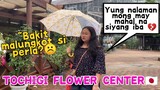 TOCHIGI FLOWER CENTER IN JAPAN 🇯🇵🌸 (Bakit ang lungkot ni perla?)