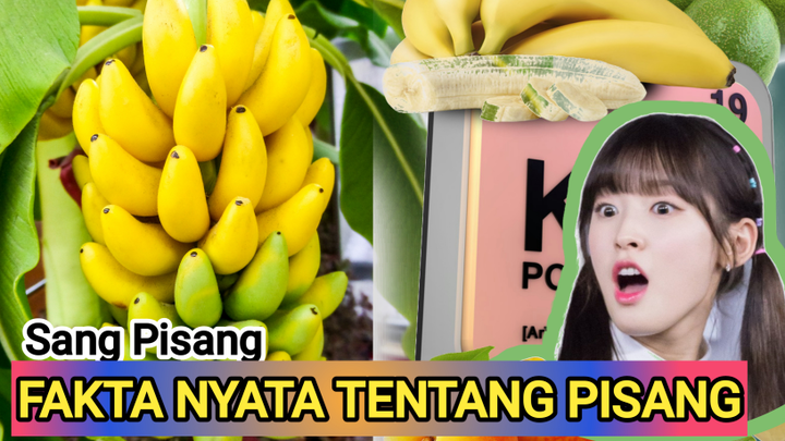 Fakta Unik Tentang Pisang