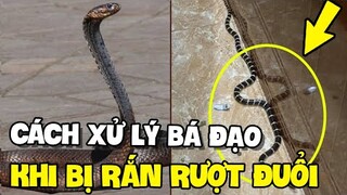 Bị rắn rượt đuổi và cách xử lý BÁ ĐẠO của cô gái | TIN GIẢI TRÍ