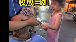 小猫治愈小朋友 两个都是乖宝宝