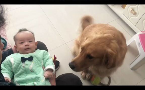 Do you still remember what it was like when your second child first met the original residents?