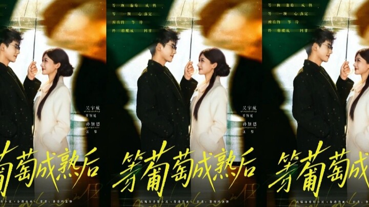 TRỌN BỘ - ĐỢI SAU KHI NHO CHÍN ( Ngô Vũ Hàng , Tôn Nghiên Ân )
