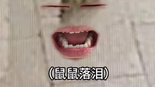 鼠鼠我呀，这回是真的要走啦……