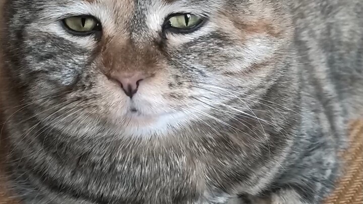 With hands in pockets, nobody loves me.