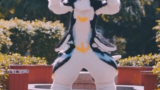 It turns out that the essence of this dance lies in wagging the tail?