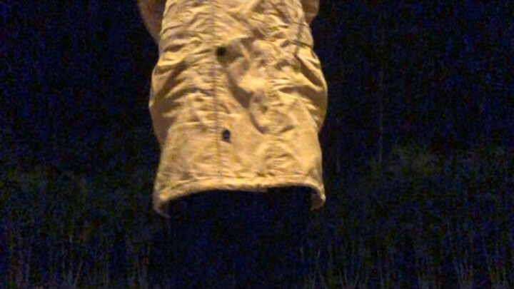 Director Bai's body disposal and tally-up scene