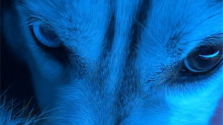 Man, you scared me half to death!