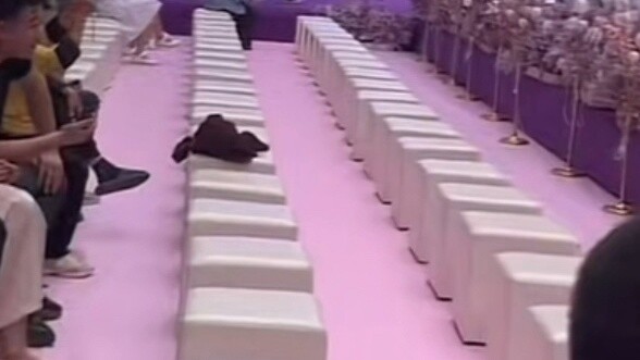 On May 12th, Nurses' Day, what they need is vacation and money, not performing and watching performa