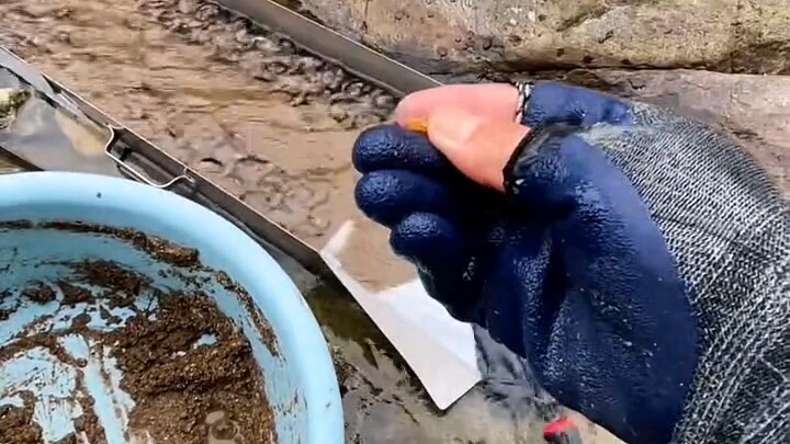 Special locations with special markers: “Gold Rush” & “Fish Catching”