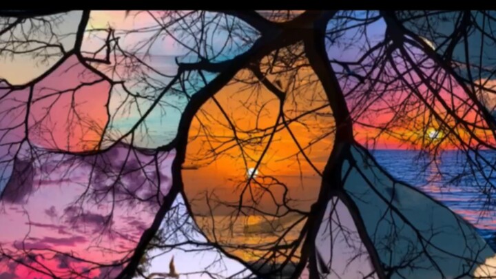 Springtime for Withered Trees: Editing Tutorial