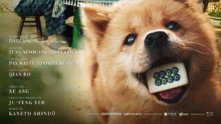 Asong gala (hachiko)_2023 HD