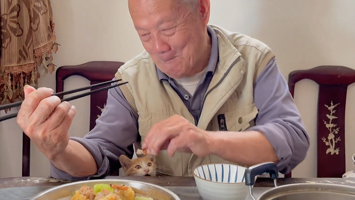 Grandpa secretly spoils his little cat during meals, and when caught, he breaks into an awkward yet 