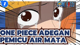 Adegan Pemicu Air Mata One Piece_1