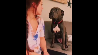 ก็มาดิค้าบบบบบ