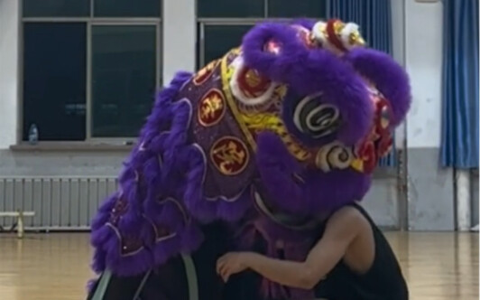 我想成为一个合格的狮子。                       教练：你想成为一个虱子