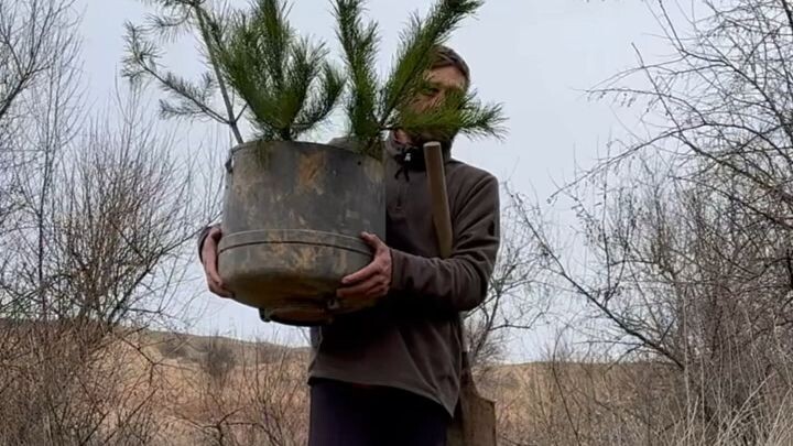 The man planted a spruce tree near the fisherman's hut#bushcraft #dog #nature #garden #adventure