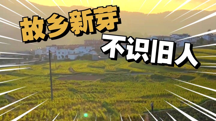 Chắc đây là dáng vẻ khi trưởng thành rồi!