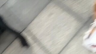 什么月亮计划？！我不知道！！