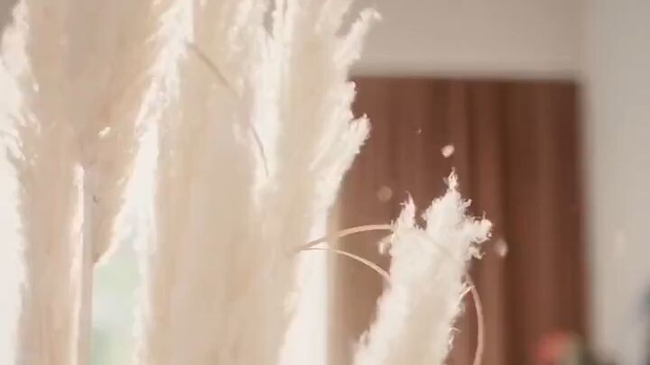 (2026) Chen Ruifeng & Zheng Chenyu - It's Not Too Late for Love《婚途未晚》Eng Sub