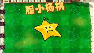 Yang Tao penakut, secara terbalik mencari musuh