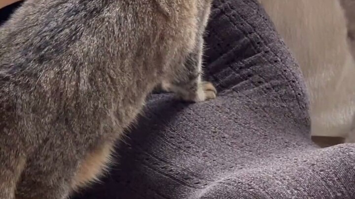 เราทุกคนต้องเป็นผู้เชี่ยวชาญในการใช้ชีวิต