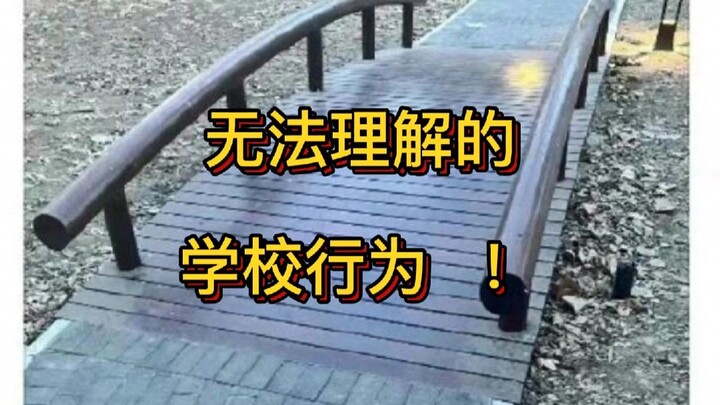 Incomprehensible School Behavior!