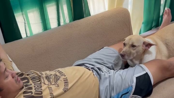 baho pwet ni papa