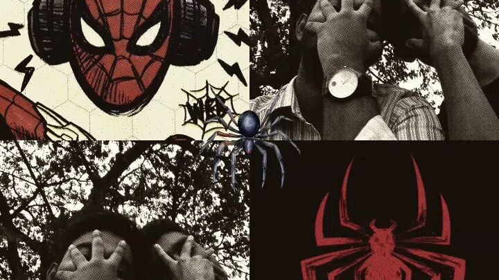 Spider-Man