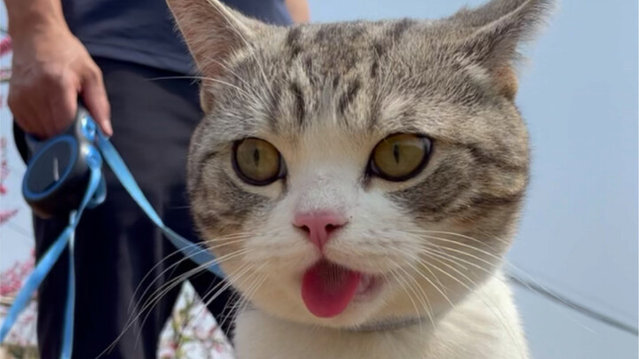 Pria berlengan tato suka menjelajah