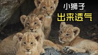 مقاطع الفيديو الحيوانية التي تفيض بالحب!
