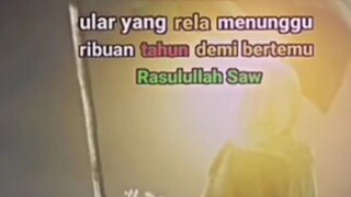 yang tau komen y