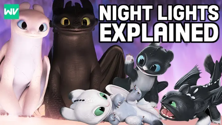 Who Are Toothless & The Light Fury's Children? (Night Lights) | How To Train Your Dragon