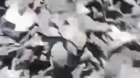 春天没什么要紧的事那就㊗️你晒够太阳 闻够花香 把春天过的像个春天……