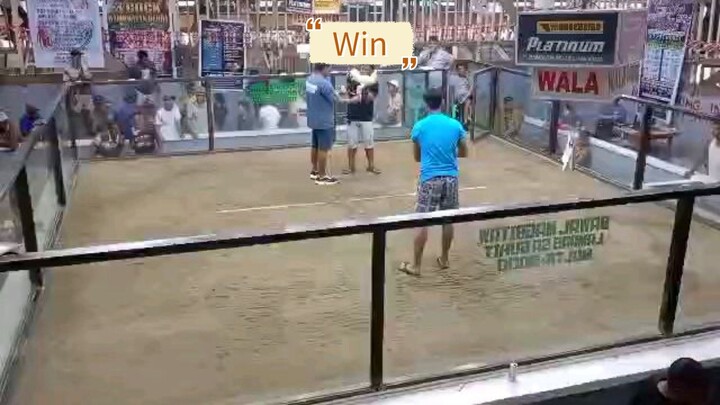 firstfight Win