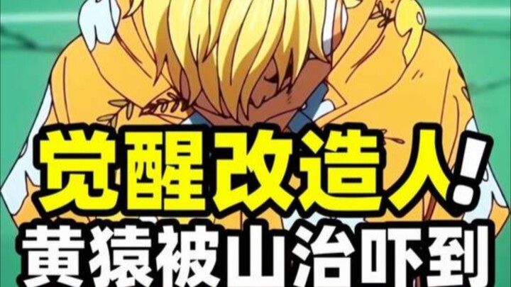 Sanji's flying kick makes Kizaru break into a sweat! This is the true value of the Straw Hat crew's 