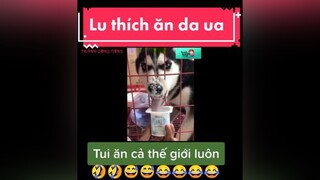 giaitri chócute chómèohàihước Lu thích ăn da ua